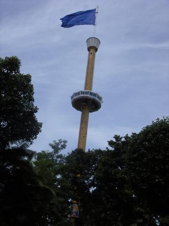 SDC11808.JPG